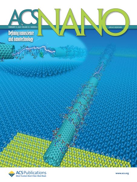 ACS Nano Cover
