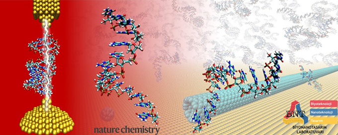 Nature Chemistry 2025